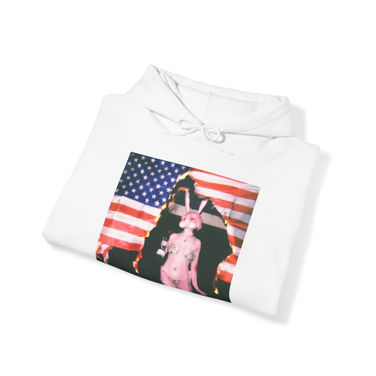 the Bunny Bless America Hoodie