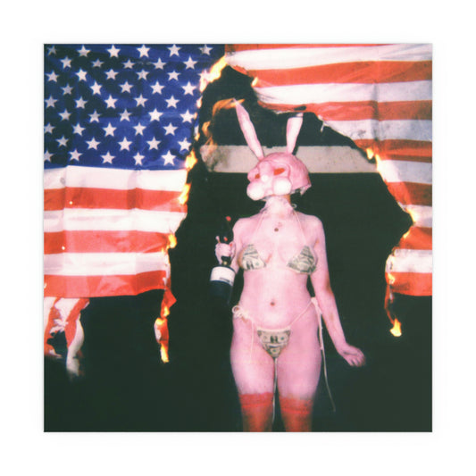 Burn America Bunny girl poster